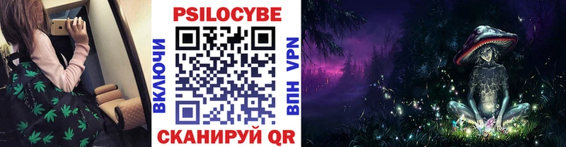 купить  цена  мега   Псилоцибиновые грибы прущие грибы  Новая Ляля 